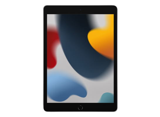 iPad (9th generation)