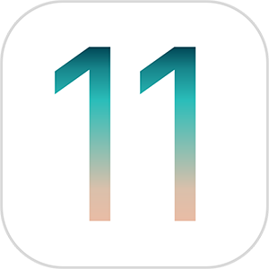 iOS 11 logo