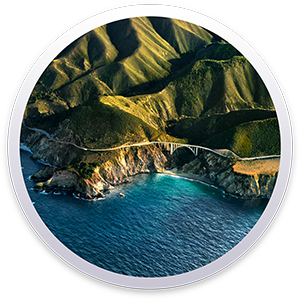 macOS 11 Big Sur logo